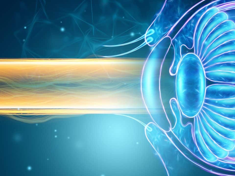 Más de 50.000 vascos padecen glaucoma, segunda causa de ceguera en el mundo