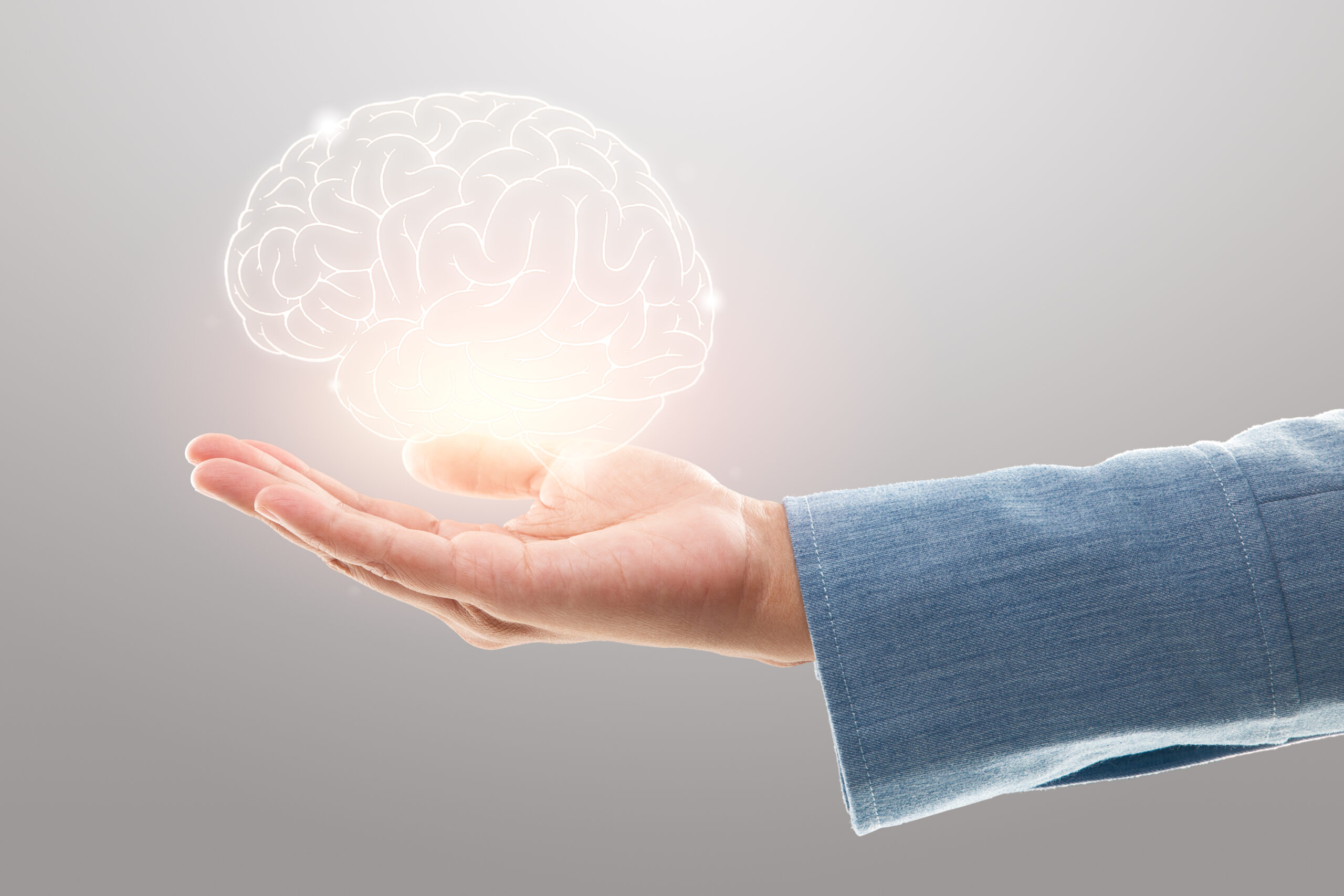 El cerebro y la visión conexión.