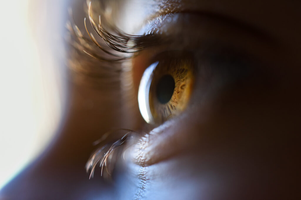 cerebro y visión, neuroftalmología